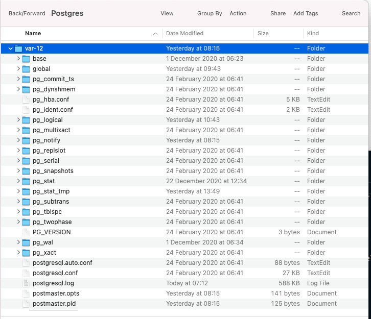 alt="postgresql data directory folder"