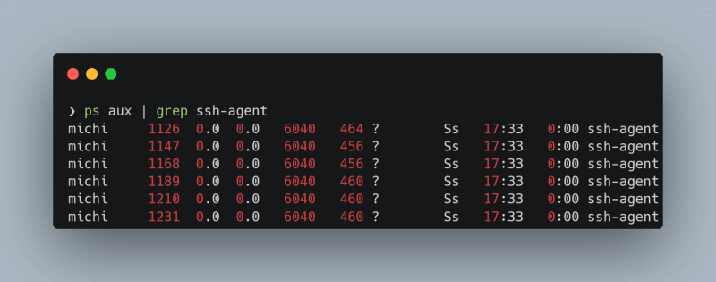 Commandline output of  raw `ps aux | grep ssh-agent` endraw  showing multiple instances of the  raw `ssh-agent` endraw 