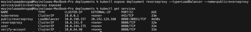 Expose proxy endpoint and get url