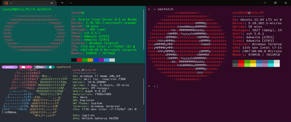 How to manage and customize Windows Terminal