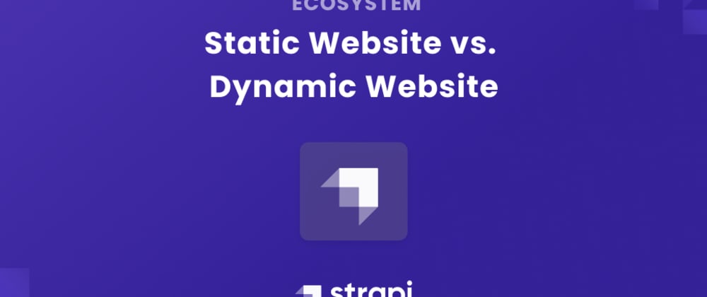 Cover image for Comparing Static and Dynamic Websites