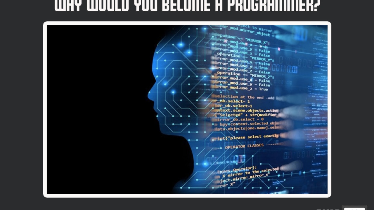 Why Would You Become A Programmer Dev Community
