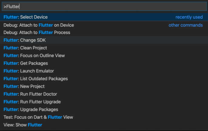 Flutter project Control