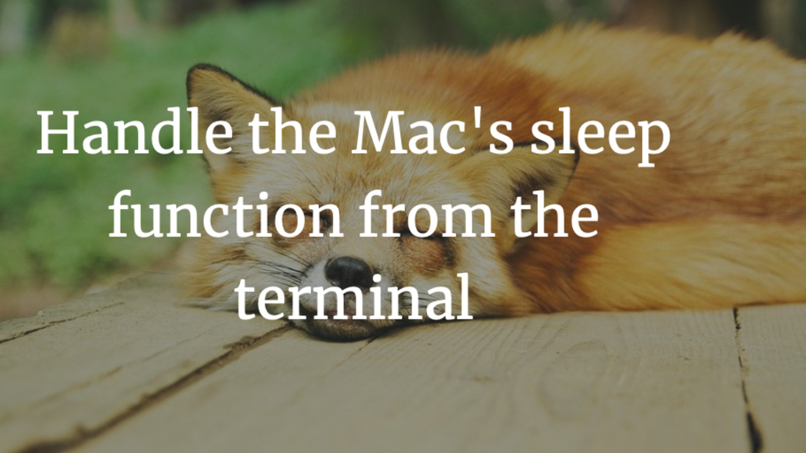 mac sleep timer terminal