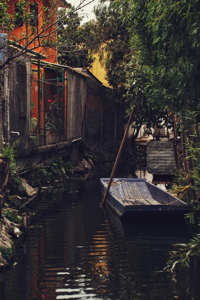 Photo by Jeremy Lishner on Unsplash