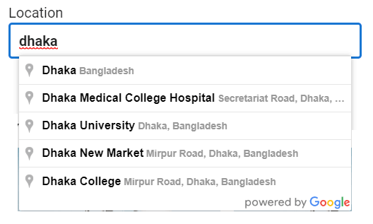 add google map script in a vue project