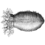 aditya_chavan_5a1cb1adc96 profile