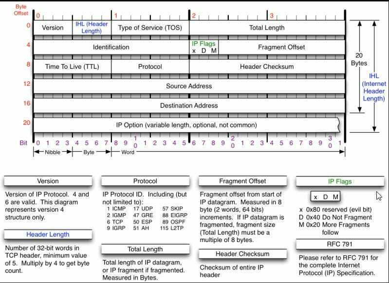 Detailed Format of IP Header