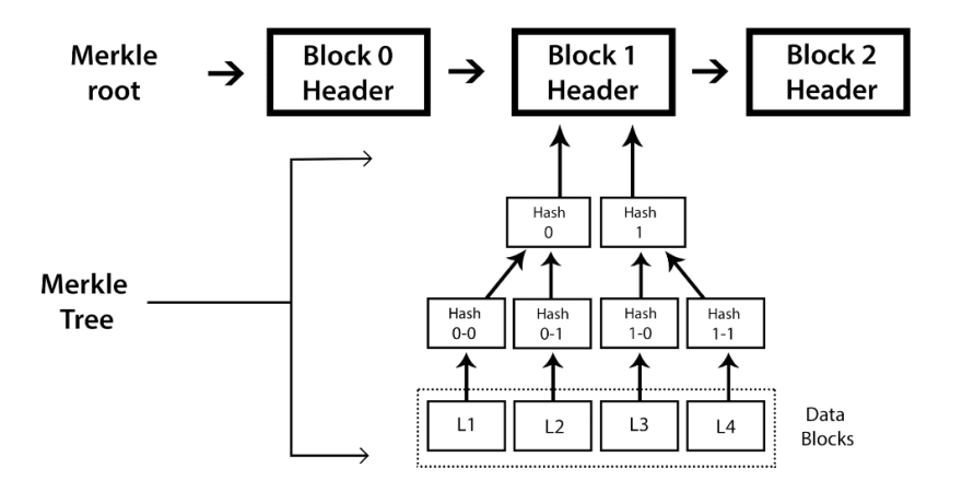 Understanding Blockchain Basic Structure Dev