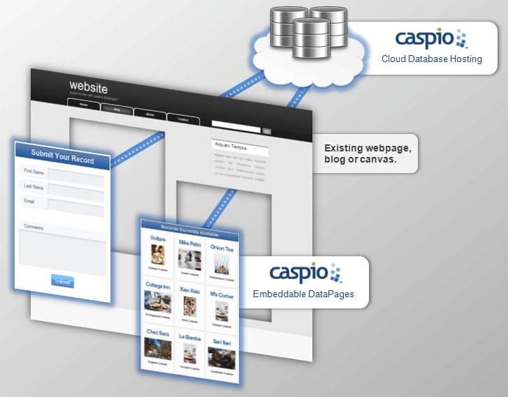 caspio data pages