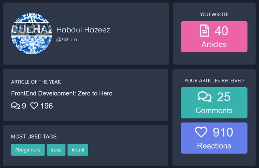 ziizium 2019 dev.to blog stat