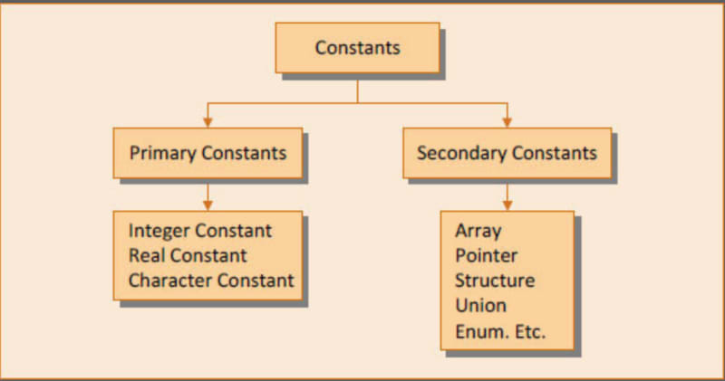 Figure showing major categories of constants