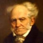 chopenhauer profile