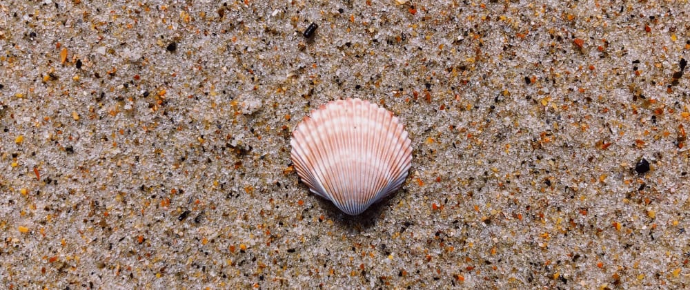 Cover image for Fish Shell: Functions