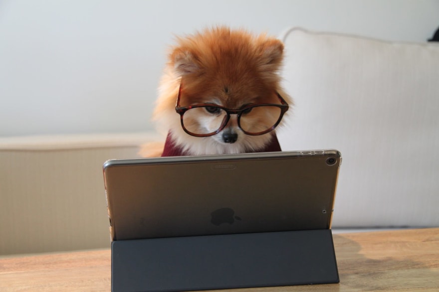 A small dog wearing glasses and a shirt using a laptop