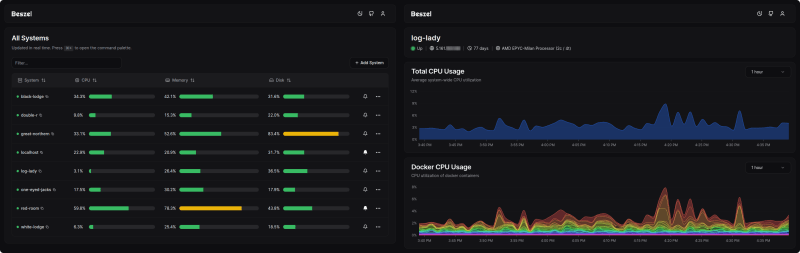 Bezsel: A Lightweight, Self-Hosted, Flexible Server Monitor
