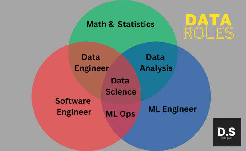 Data Science Roles