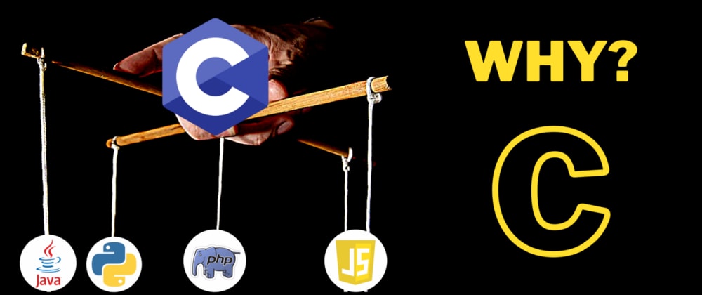 Which Programming Language to Learn and Why? — Typical Answer! - DEV ...