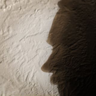 brandynfriedly profile