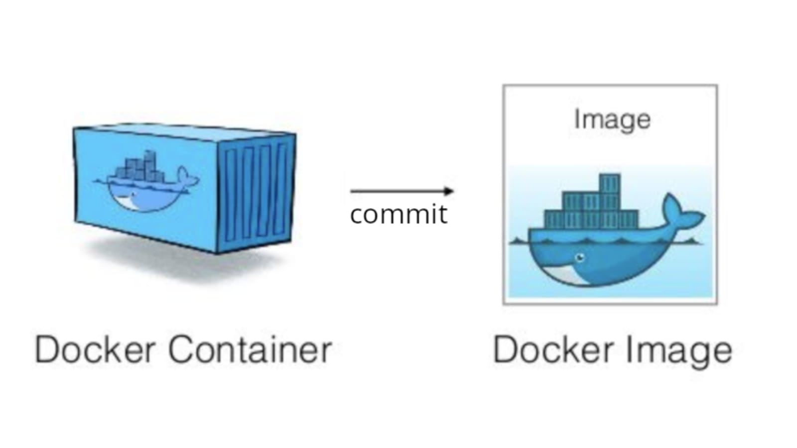 Docker Container +Cat. Docker белый фон картинка. Docker Container status. Docker s4 быстрого действия. No such container