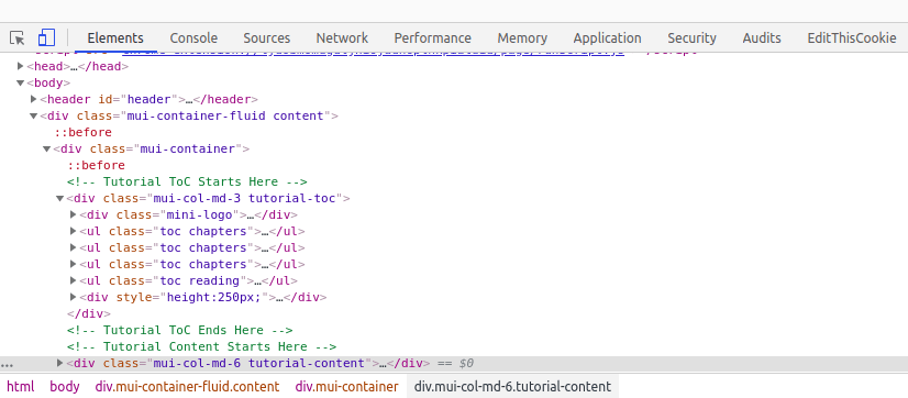 web dev console