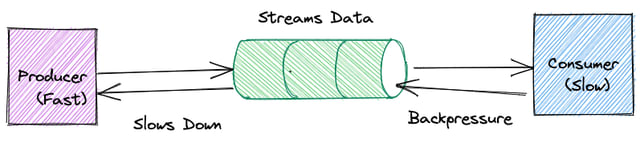 Stream-Slow-Fast