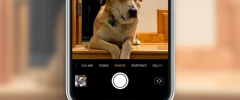 Cover image for New Photo Gallery Tutorial for Angular, React, and Capacitor