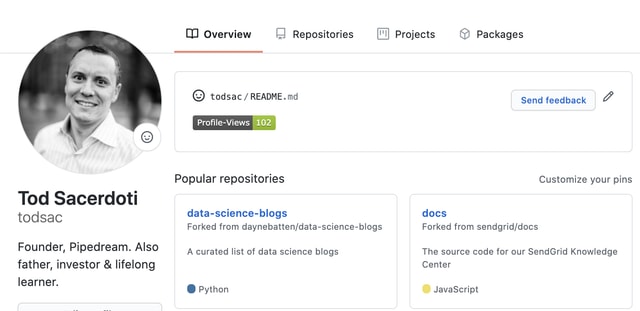 GitHub - IchiiDev/profile: Vue based Discord styled profile