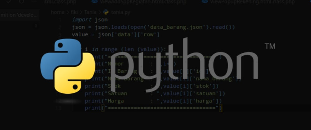 Python start file. Парсинг Python.