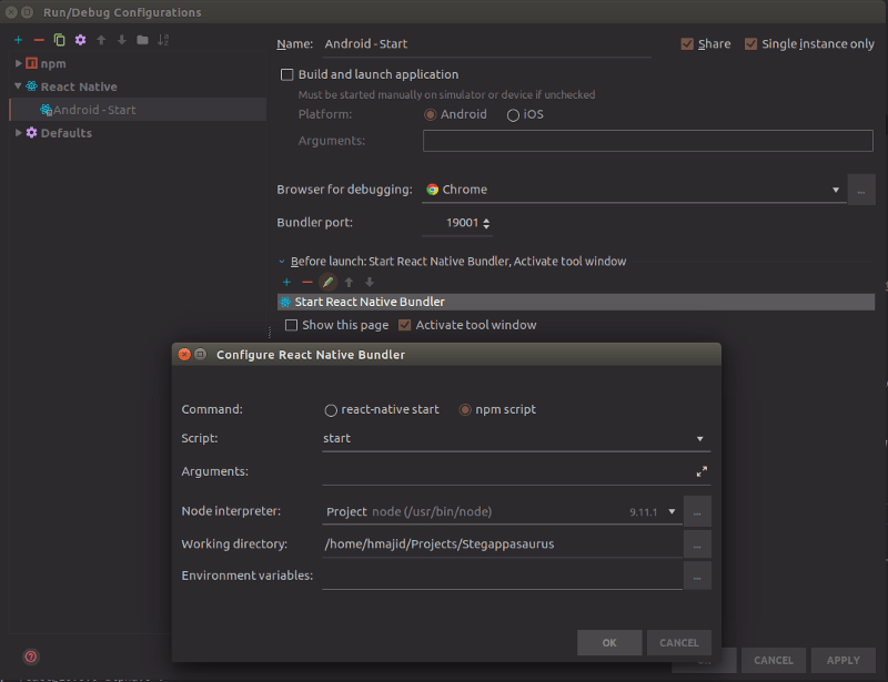 webstorm debug from console