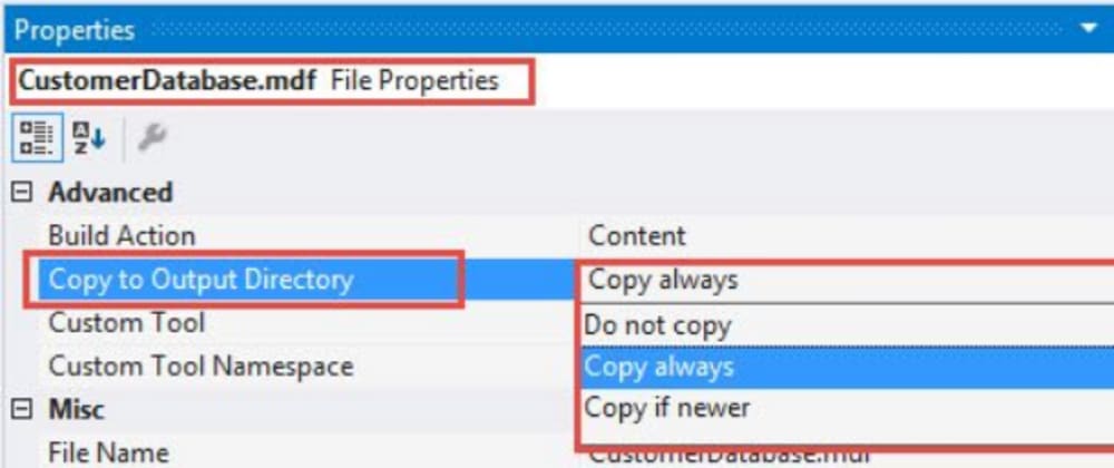 Что значит копи. Copy build output to output Directory option. C# что делать если нету Table Adapter.