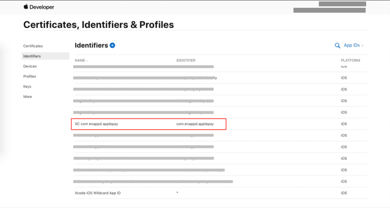 Newly created identifier in your Apple Developer Console