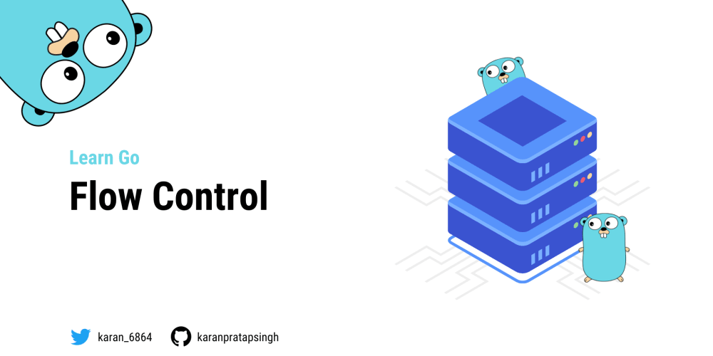 Go Course: Flow Control – DEV Community