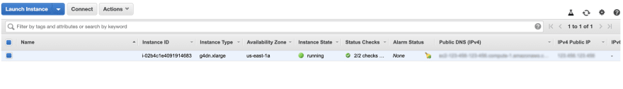 Image of running EC2 instance with IPs blurred out