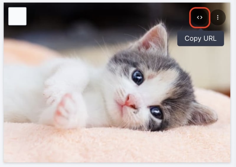 Copy Cloudinary URL