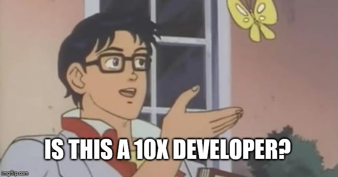 10x dev
