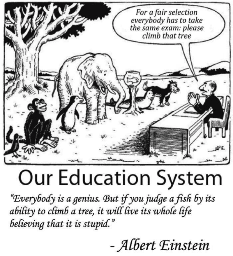 A cartoon showing a monkey, a penguin, an elephant, a fish, a seal, and a dog tasked to climb a tree for a fair selection test. Below the quote from Albert Einstein starting with Everybody i s genius.