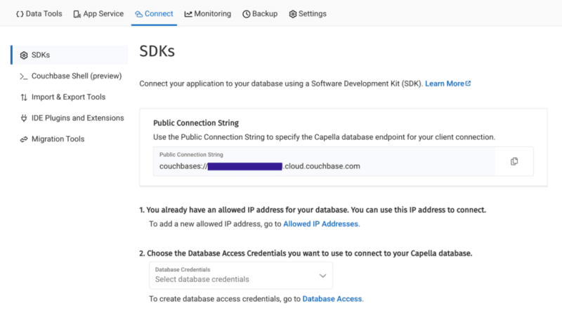 Capella SDK connection details