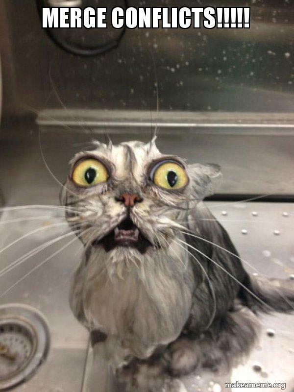 A wet cat in a bath with its mouth open looking terrified captioned "Merge conflicts!?!?!"