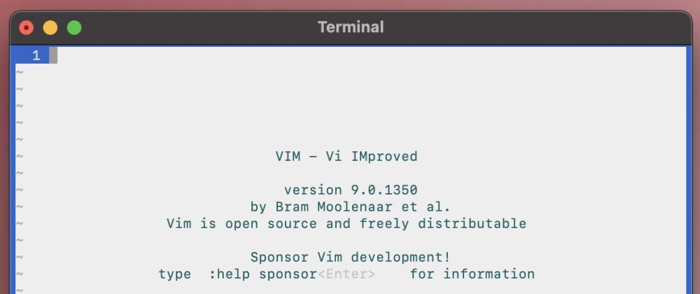 vim on mac