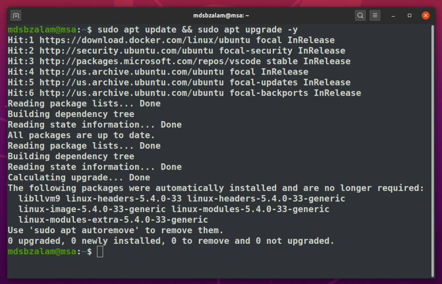 sudo apt update and install