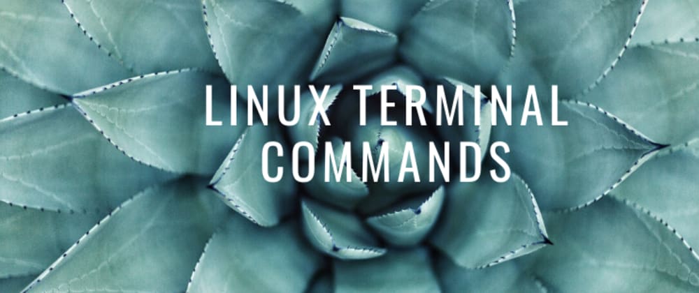 shortcut to open terminal in linux