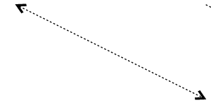 Bi- Directional Association