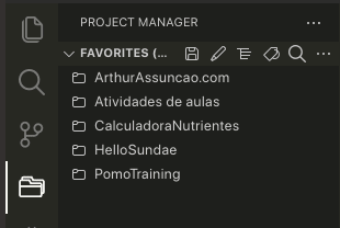 **Figura 12**. Meus projetos no Project Manager