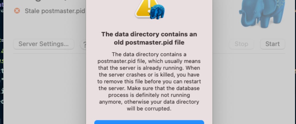 postgres app postmaster.pid file