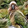 jwwnz profile image