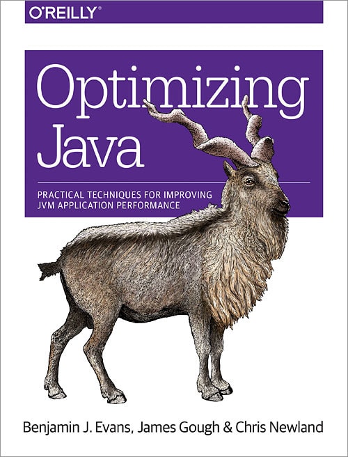 best book to learn JVM and Java performance