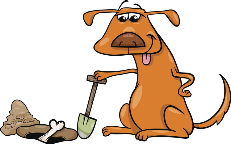Dog burying a bone