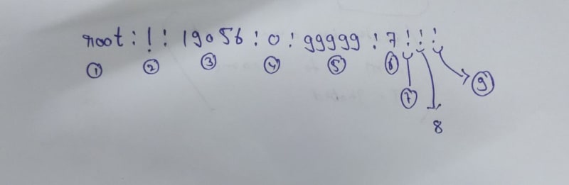 05.jpg