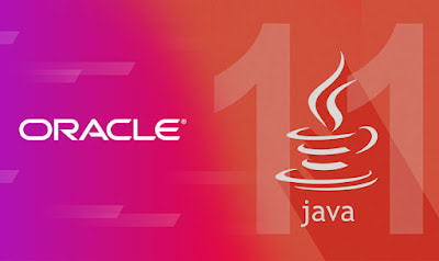 best course to learn Java for beginners